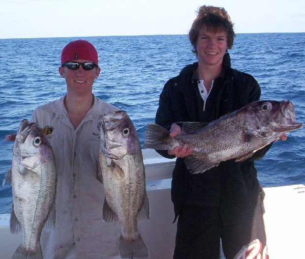 The Dhuies - 29th sept The Dhuies - 29th sept